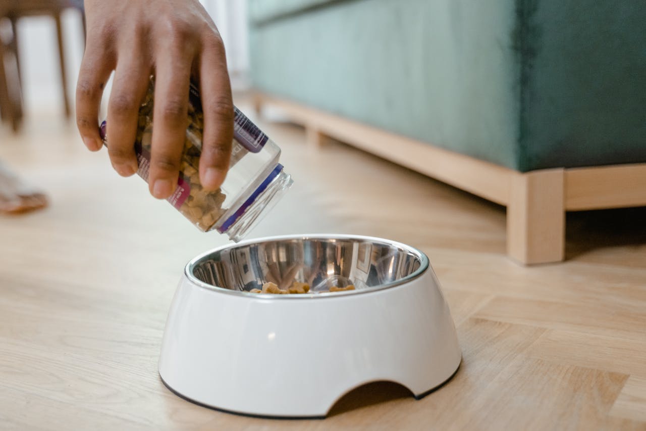 A person pours dog treats from a jar into a metal bowl on a wooden floor.